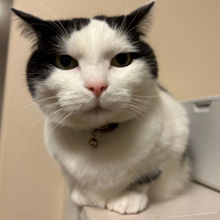 E4f89cb1 f523 4567 becc 86273d515f57 1774225592558