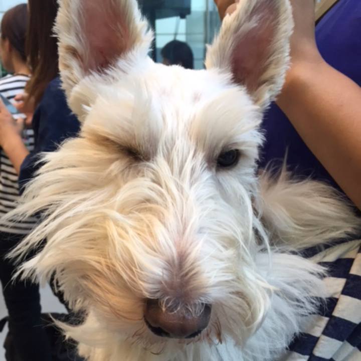 E4f900c3 70e5 4d09 92cf 2c3be38da49d 1533306148568