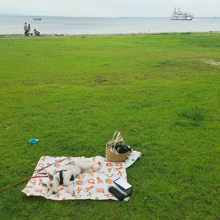 E4f95b52 9080 47c4 95ad c66bde9accee 1566648030093