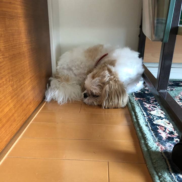 E4f96be1 3aa7 4ac0 8f45 01984afb8be2 1538270471181