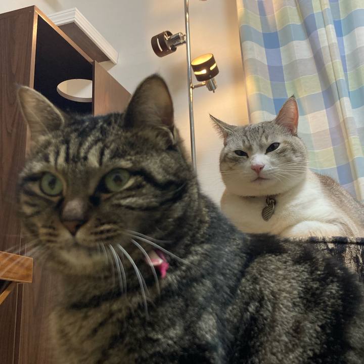 E4f9704c 22a5 49b7 b2ed 8f6706e7da55 1642858050254