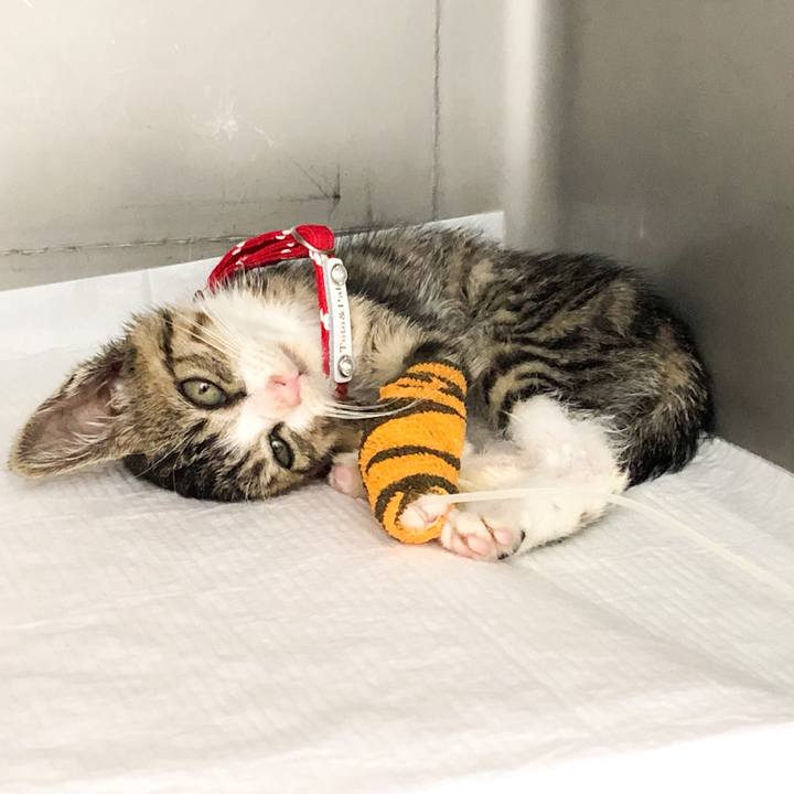 E4f97581 a0ff 4af6 8c44 d598d2681281 1560744172862