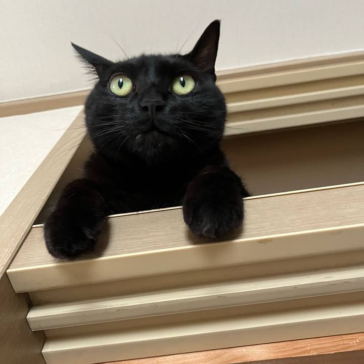 E4f9984f 47b7 4dfa bcf4 053be39ef578 1692756540266