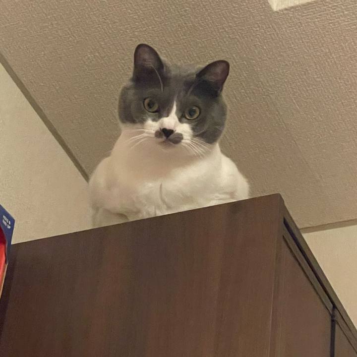 E4f9c9b1 2fd7 42c3 82f9 1ae6c8e3dd42 1666949991383