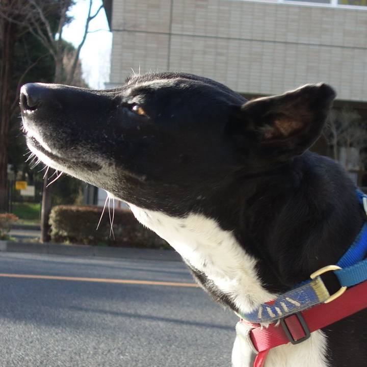 E4f9de35 1b88 4349 9ca4 1e59c02c463c 1679185405855