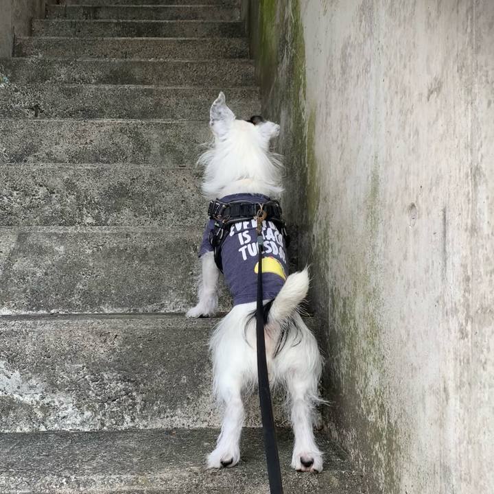 E4fa3b62 33a2 4d04 8b3b aab65b0b8391 1729554477725