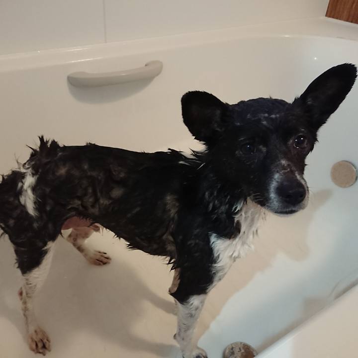 E4fa5942 2e97 486b 8263 1f480f4c3daf 1556947395771