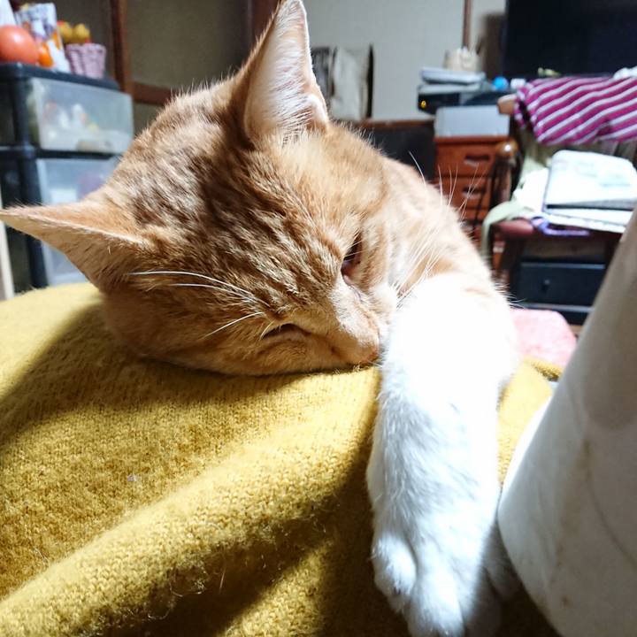 E4fa9771 7424 4b2f 8544 1a125ba48ea7 1573073928686