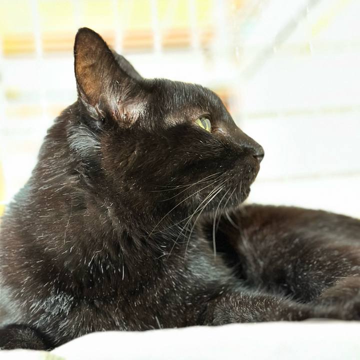 E4fa9d84 fa04 47d6 b540 3bf9306599be 1696815228663