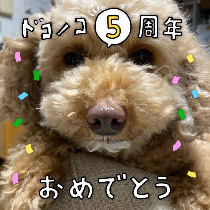 E4fac8fd 5a92 4ccb 93e6 864e1695fa5c 1622894504706