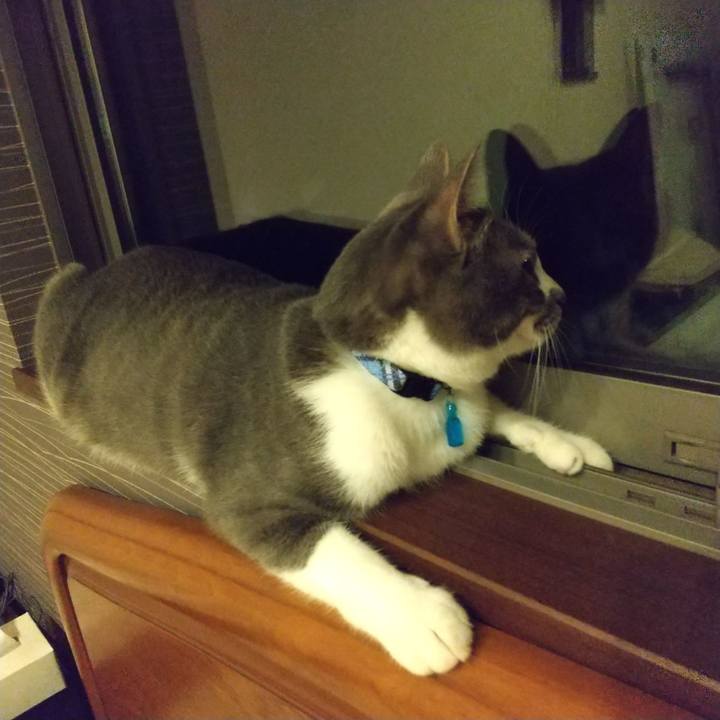 E4faedfc e672 4867 801a 24a4c5dcf908 1598359560616