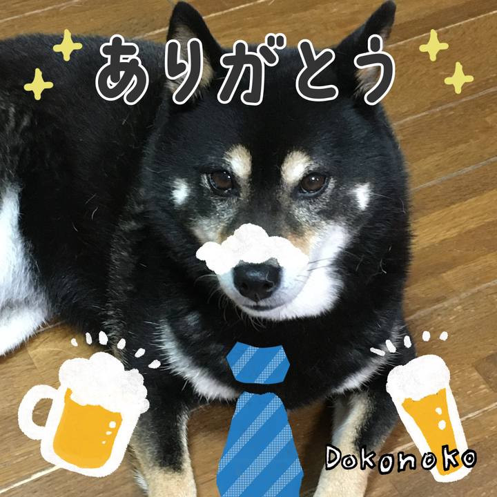 E4fb62ed b09d 40fa bfdd 52e2b6164f3e 1717665872496