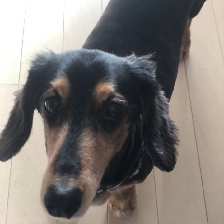 E4fb953e 8eae 4d1d 82aa a4a937892809 1626735034065