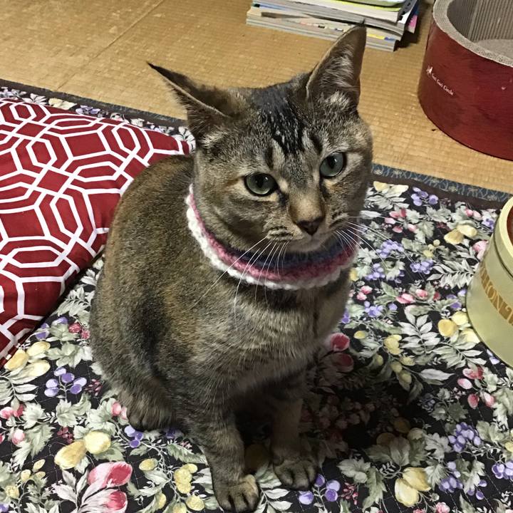 E4fbb630 aba5 461d 973b 1871c05e064f 1619696422033