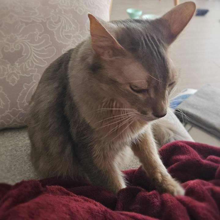 E4fbb744 0154 461d af4f c57eaac9b0e8 1772257620883