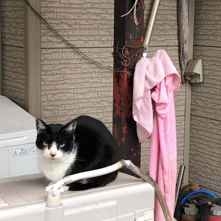 E4fbb809 378e 41b8 b699 83554ea87d57 1583135261534