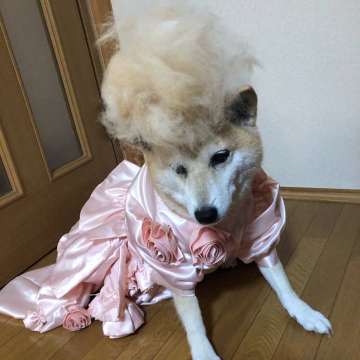 E4fc0139 eeab 4ef3 87ce aab7c81ededc 1595303939676