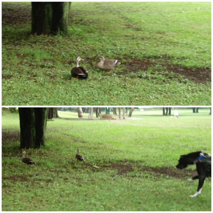 E4fc2893 1bd5 4d54 8634 ea264000c6de 1655944450454