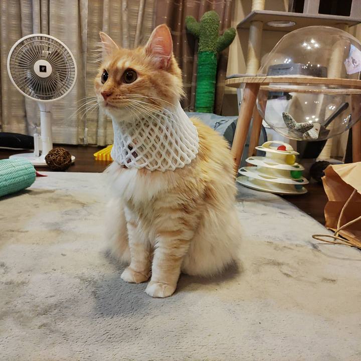 E4fca5e1 1b90 42a1 8c42 647254079617 1655120483126