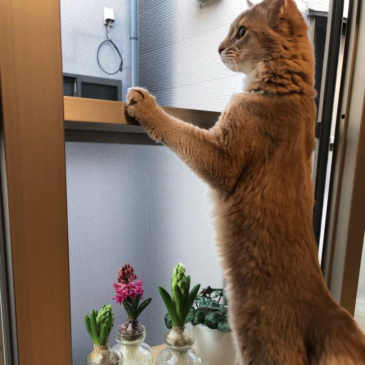 E4fca861 46b7 4a99 b8a7 2aad5110d9d1 1552099404908