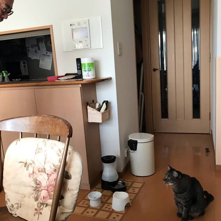 E4fccaac 96a3 4f43 8522 9208e8a35ba9 1567718029301