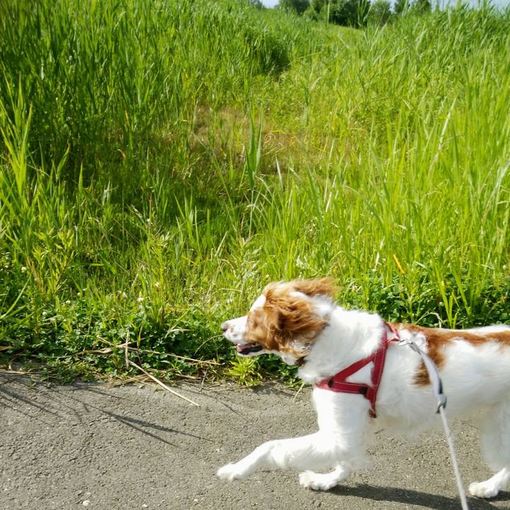 E4fcea89 4d6b 4fe2 a814 fc0809aa4e6f 1560769702555