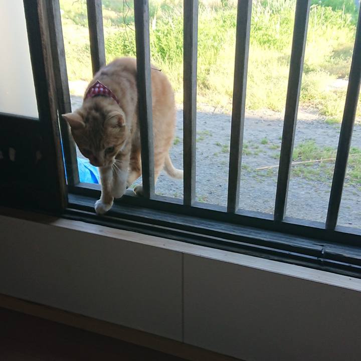 E4fceb5e 2e5d 44b0 8c42 61d424e9a6a2 1558514113254