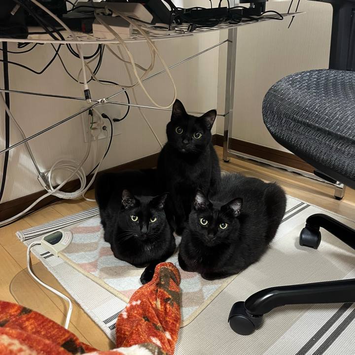 E4fcefd3 35b1 4264 9cea 5650201a2d60 1711450566648