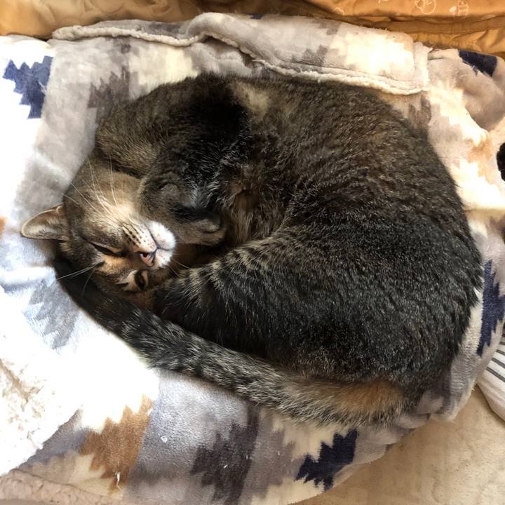 E4fd5cef 33a5 492e bc89 0302663f1c69 1635825205158