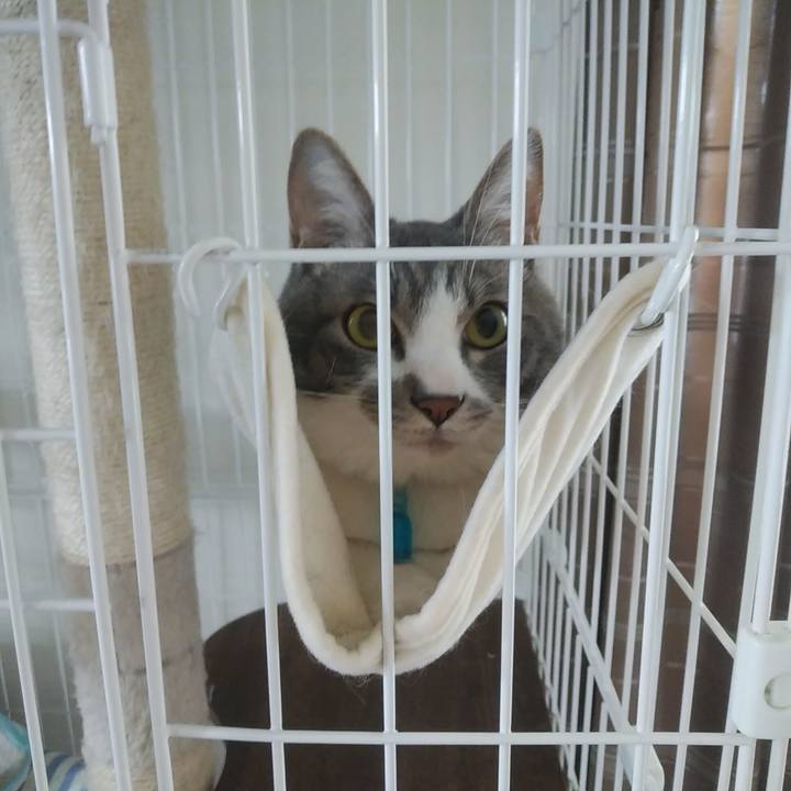 E4fd8b4c ae63 4ea3 a866 599bd4bcccfb 1590020310118