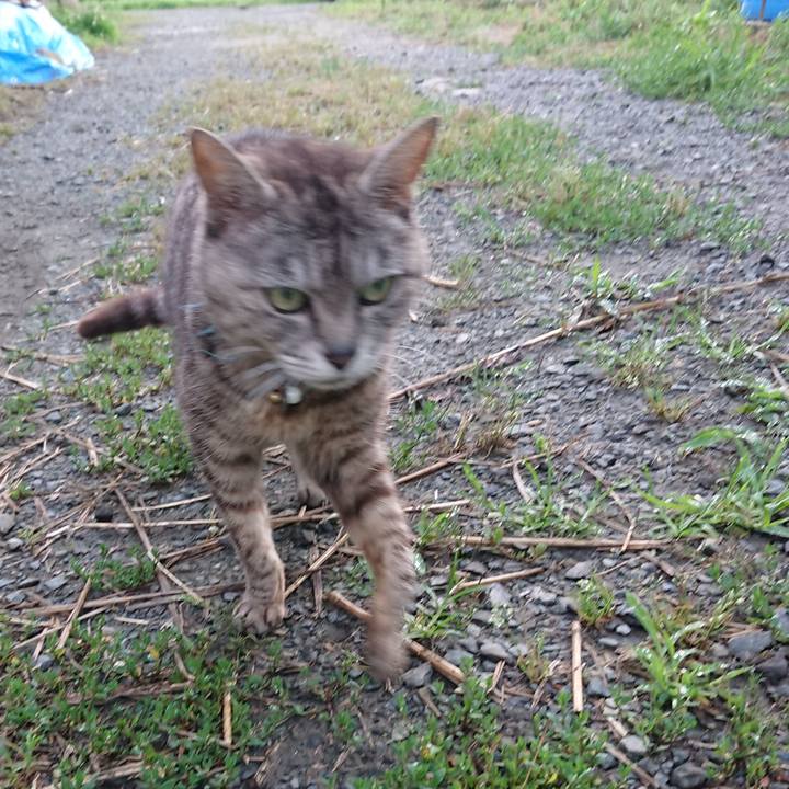 E4fdac9f 08c0 4eee bb1e 42a38994ff23 1562014063148