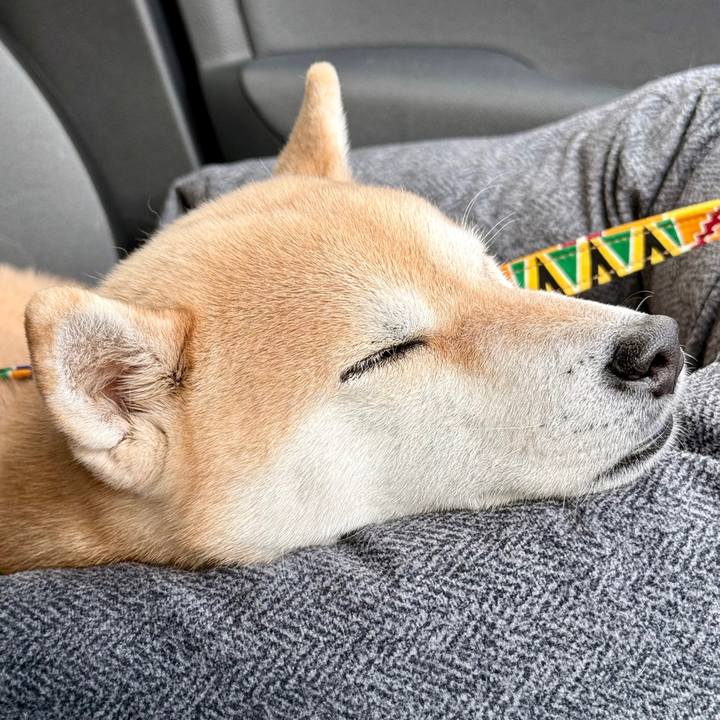 E4fdd788 a1bf 419b 9263 aa38d9328e6e 1769401743734