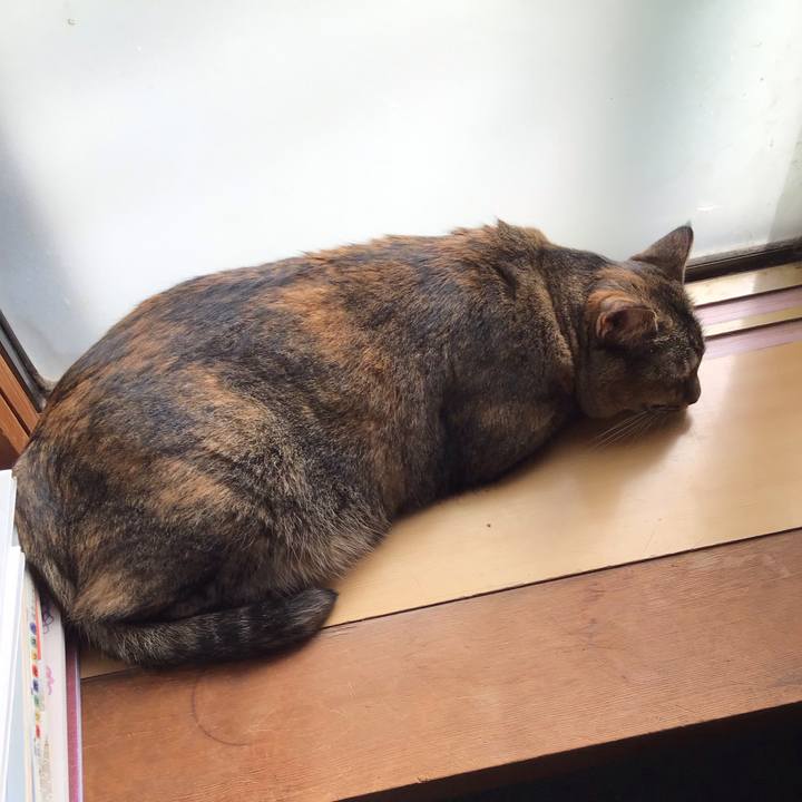 E4fe01a8 bcd1 44c9 b8e1 7e10a2eaf326 1759046112818