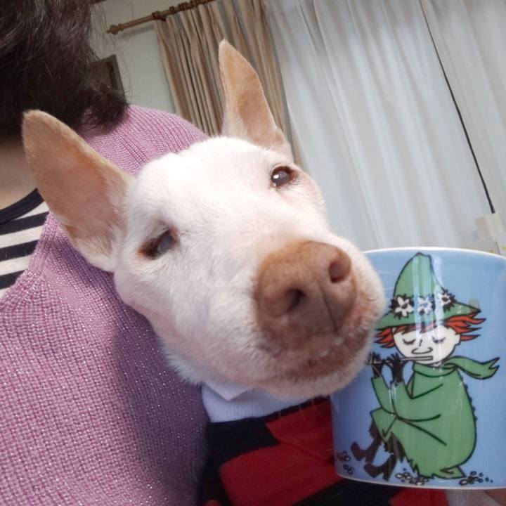 E4fe6e53 95ed 44fb a131 9fcf538f8587 1606347082661