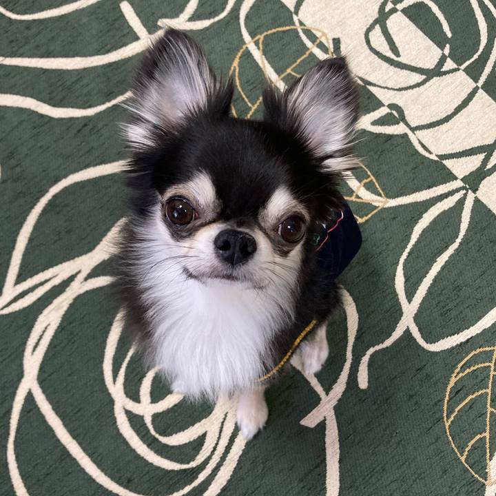 E4fe6eb0 1ba9 4e2b 8ff2 4b7c32433105 1648300589828