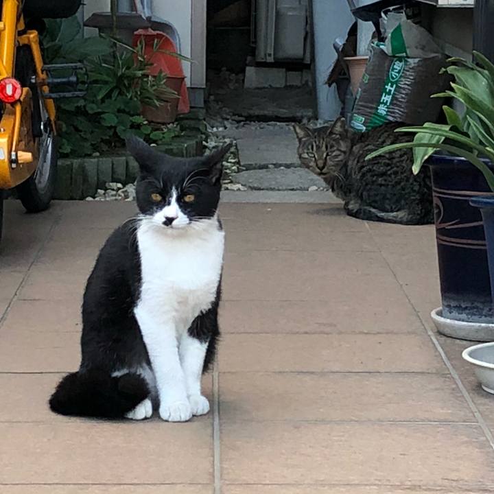 E4fe8e14 0bde 47eb b940 d358604ae99e 1539321004568