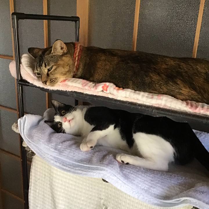 E4feb195 824a 495c b67d 815e99a8712f 1633505322922