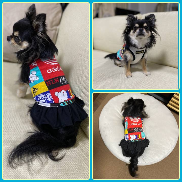 E4fec5c3 fa9c 4735 be71 9aa5acc0a25a 1654892265455