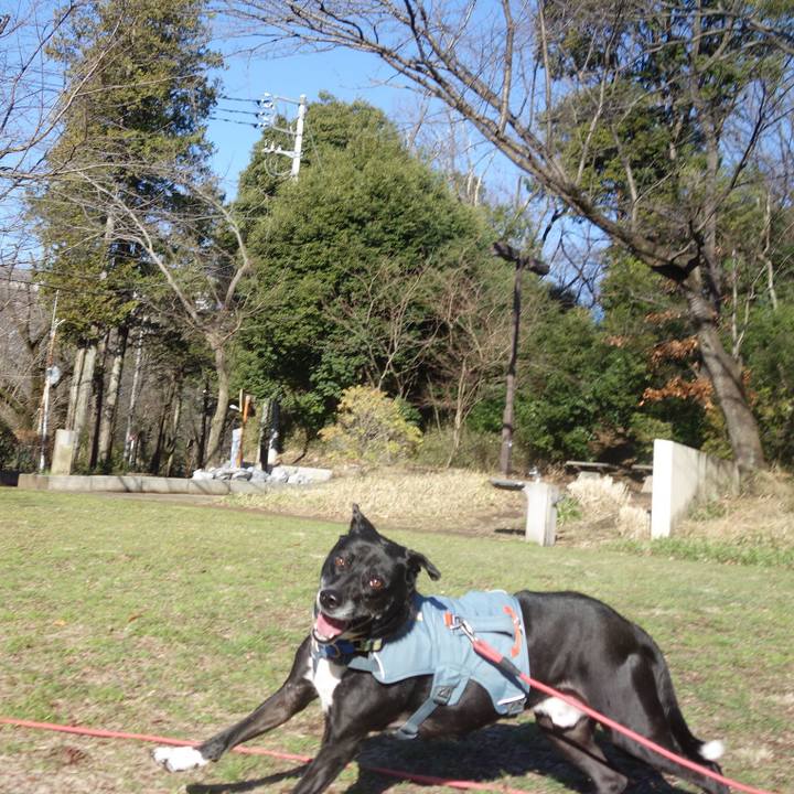 E4fef96d bdae 4a91 9d13 619ce414518e 1709947038465