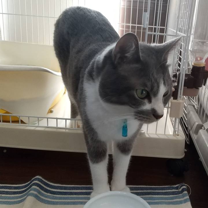 E4fefcbe 0074 45cd b791 531a1ca692a8 1646901015300