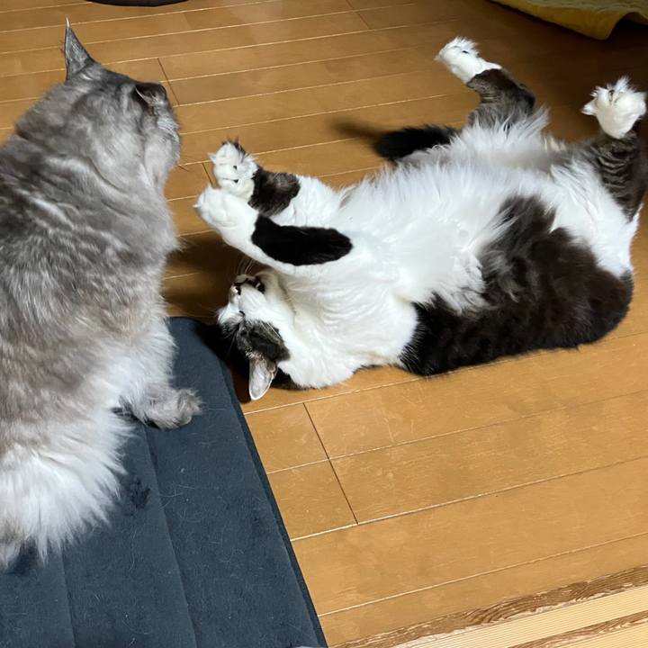 E4ff17d2 a390 4949 a070 e7ed2d16f6af 1750760924081