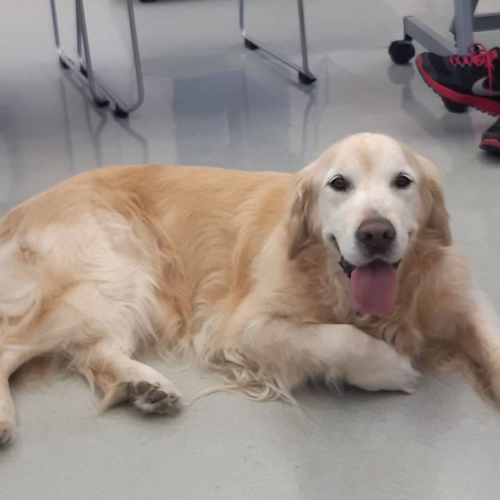 E4ff1a24 c064 411b add2 deeb80fd1ab1 1561245092710