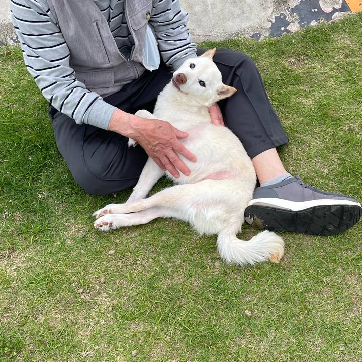 E4ff2a7f 16c5 4016 badf dcac8869ad2b 1684752590749