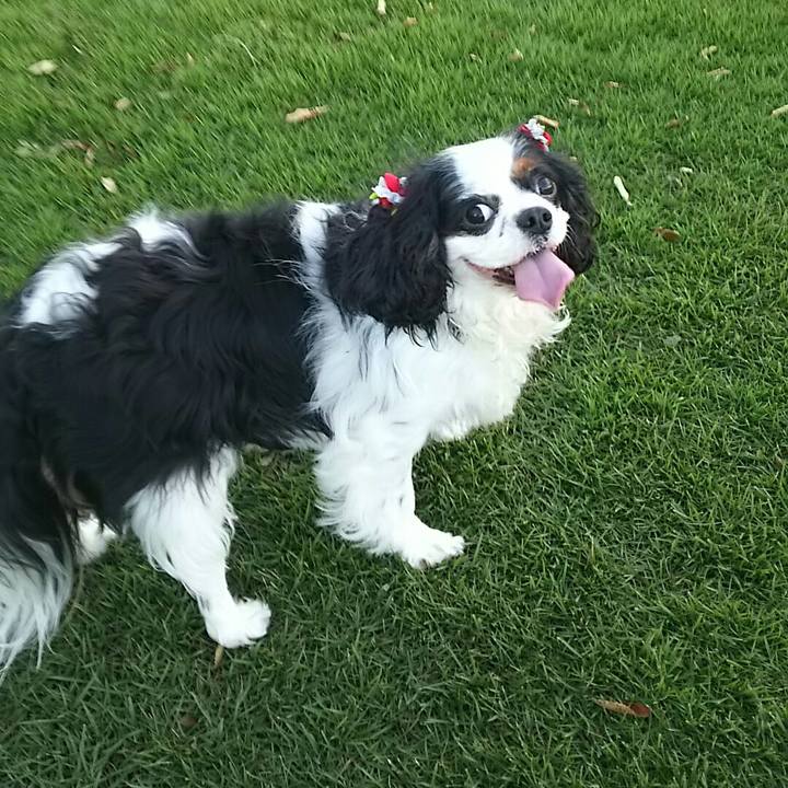 E4ff42f4 f551 4a85 9ecf 57ca024caefc 1538899327616