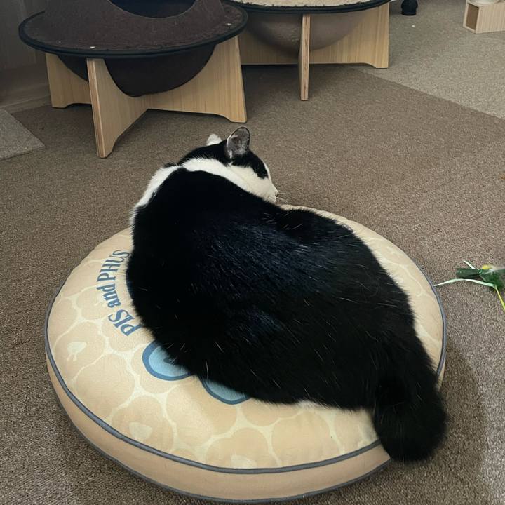 E4ff5a1f 54d1 4259 9e7f d00d722b2572 1716415502676