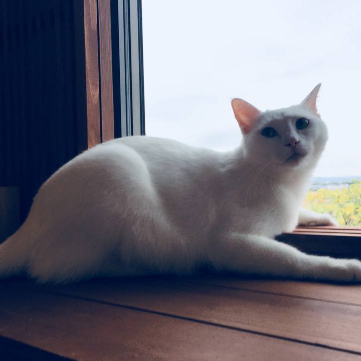 E4ff5f23 a170 45ac b279 bdb379d4accc 1508545455493