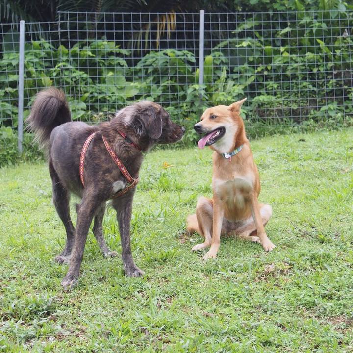 E4ff6c4b 5722 44cf 9d58 7795d3bfc89c 1508161696697