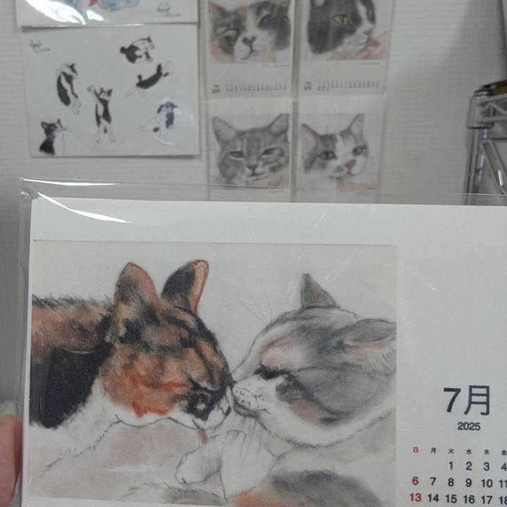 E4ff6e75 8c78 4b8b 9e00 773ac5e09dac 1751499045780