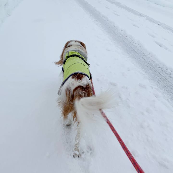 E4ff81dc ce0d 4e6b 8c55 d6b610bd55bf 1608361917288