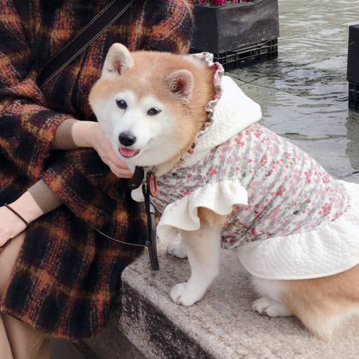 E4ff8fea 59f3 40c2 be17 39cd842f752c 1609390799401